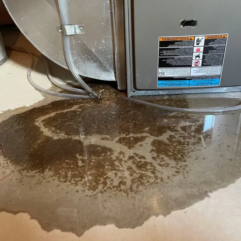 Pipe Burst and Leak Restoration in Chambersburg, PA