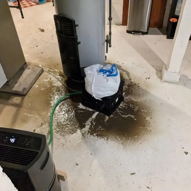 Sewage Backup Cleanup Service in Chambersburg, PA